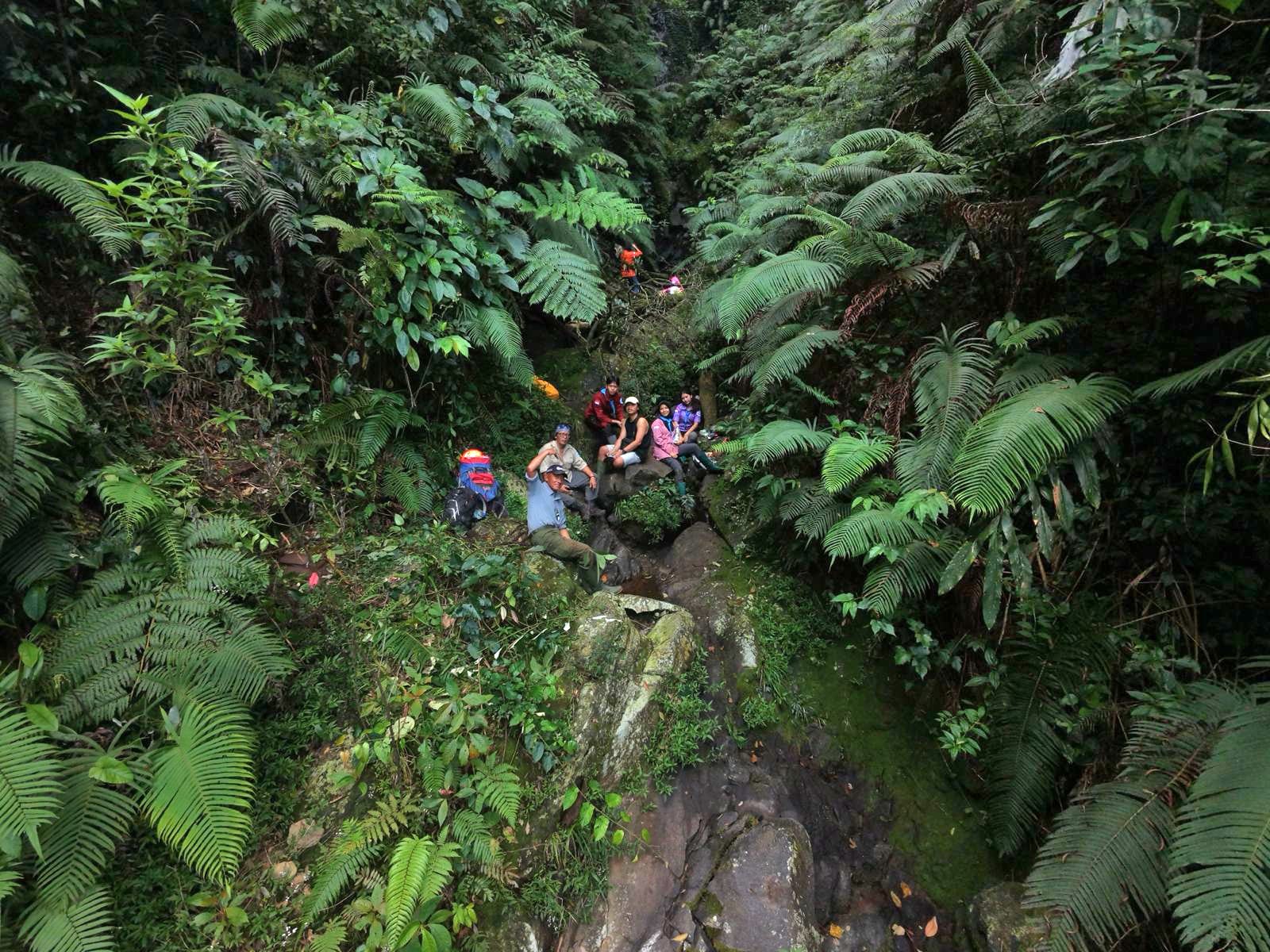 IMG-20260712-WA0194
